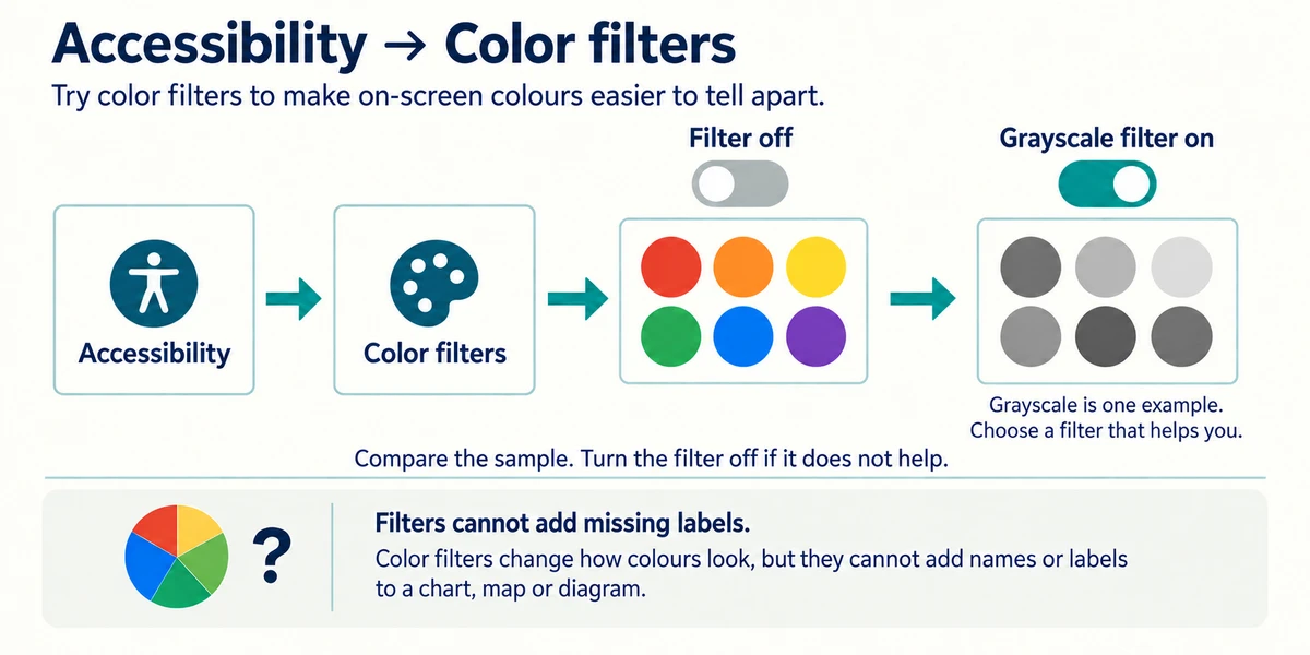 A labelled grayscale example changes six coloured circles into gray tones. Compare the filter and turn it off if it does not help.