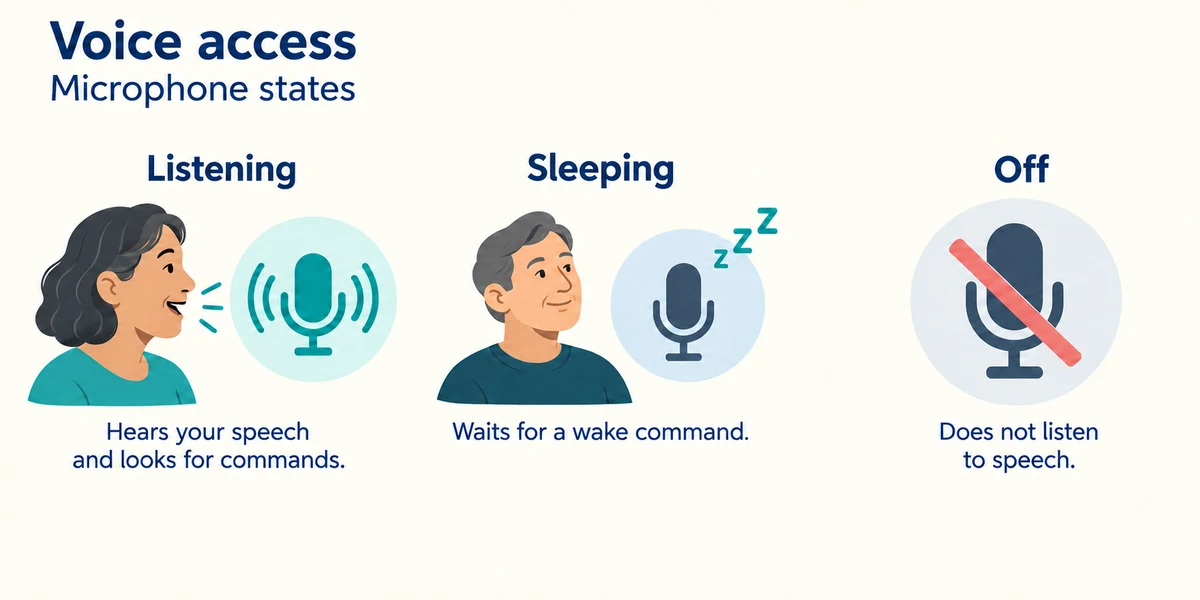 Voice access has different listening, sleeping and off microphone states.