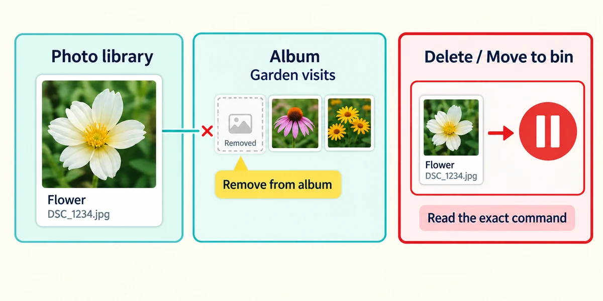 Removing album membership differs from deleting a photo from the library.